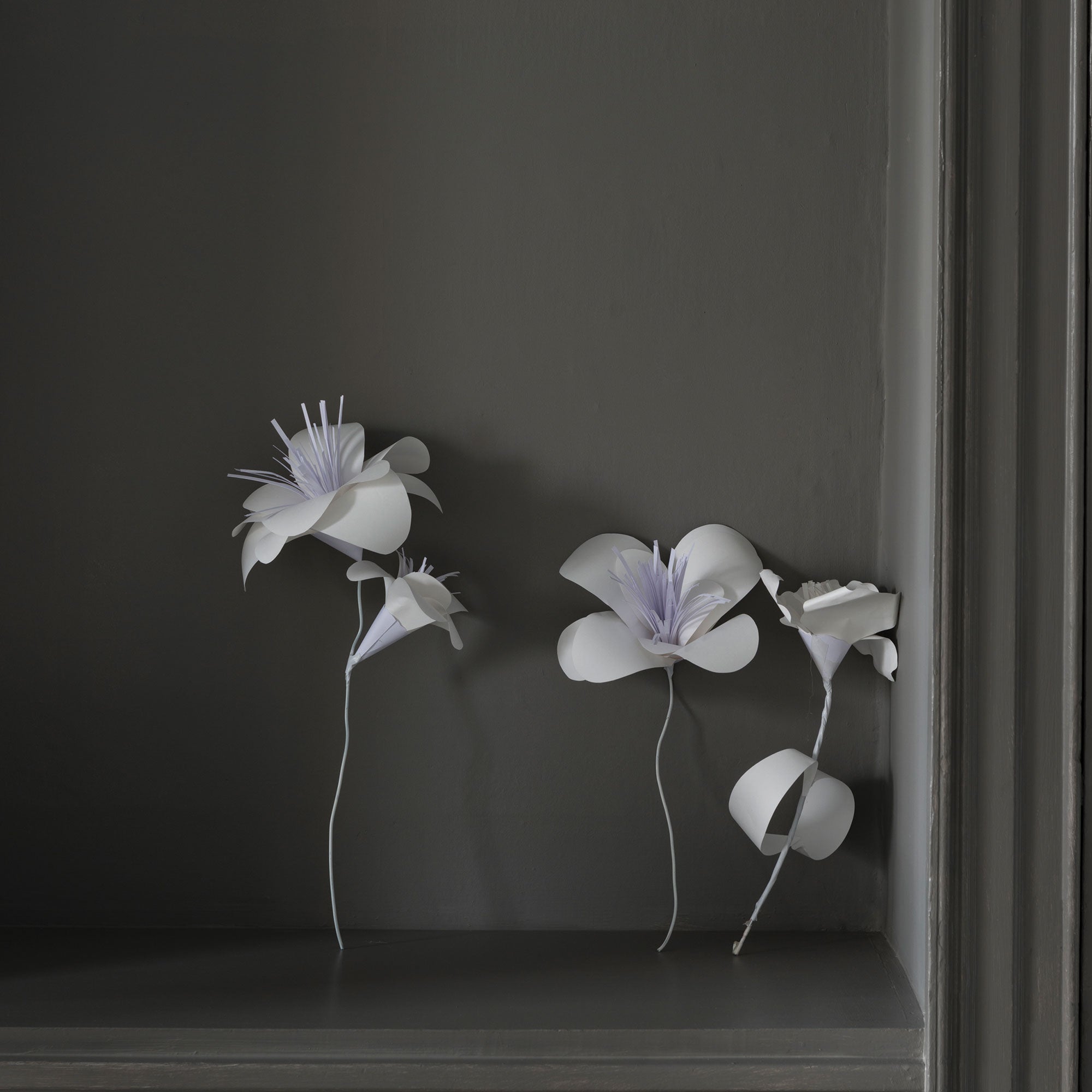 farrow & ball mole´s breath 276 als farbe auf holz