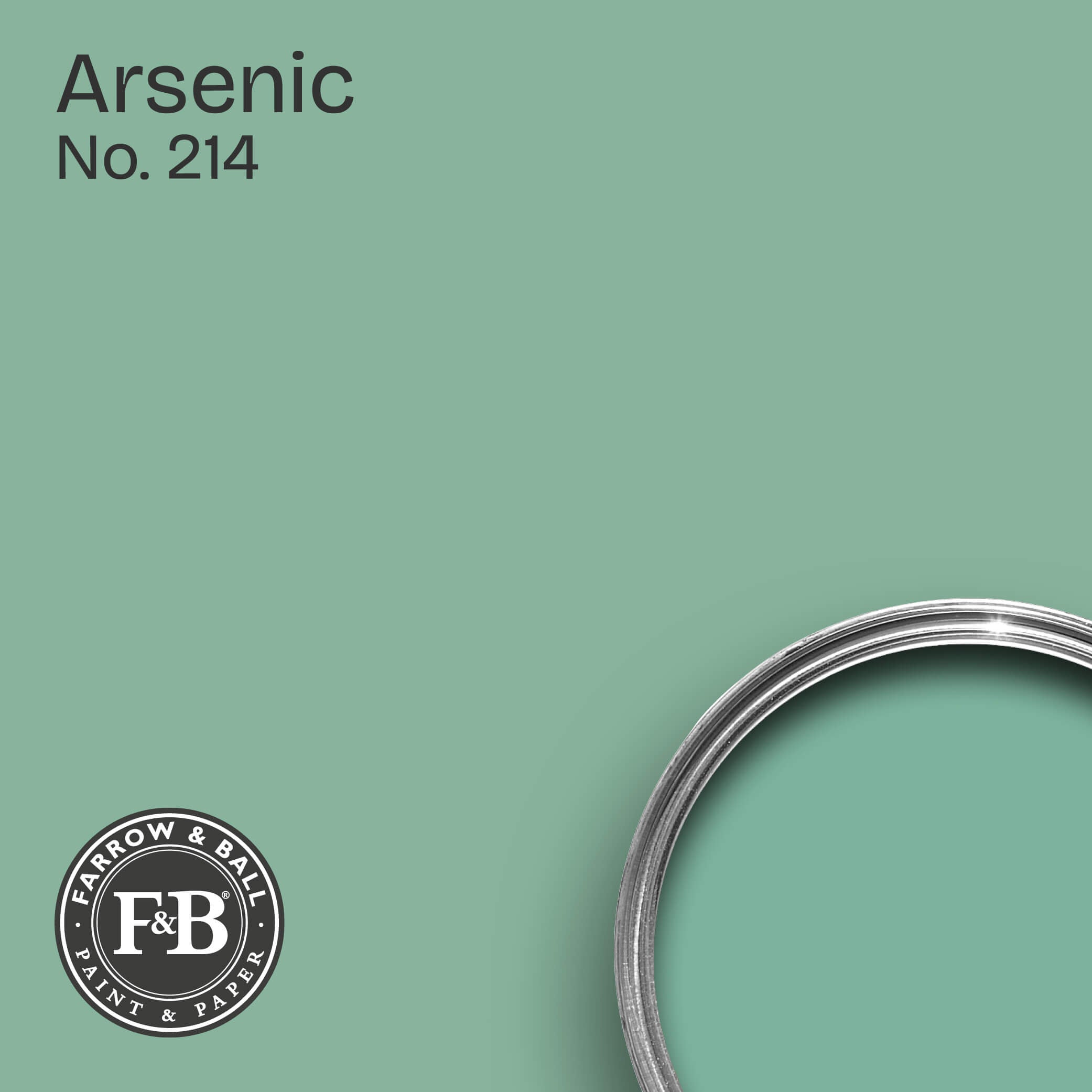 Farrow & Ball Wandfarbe Arsenic No. 214