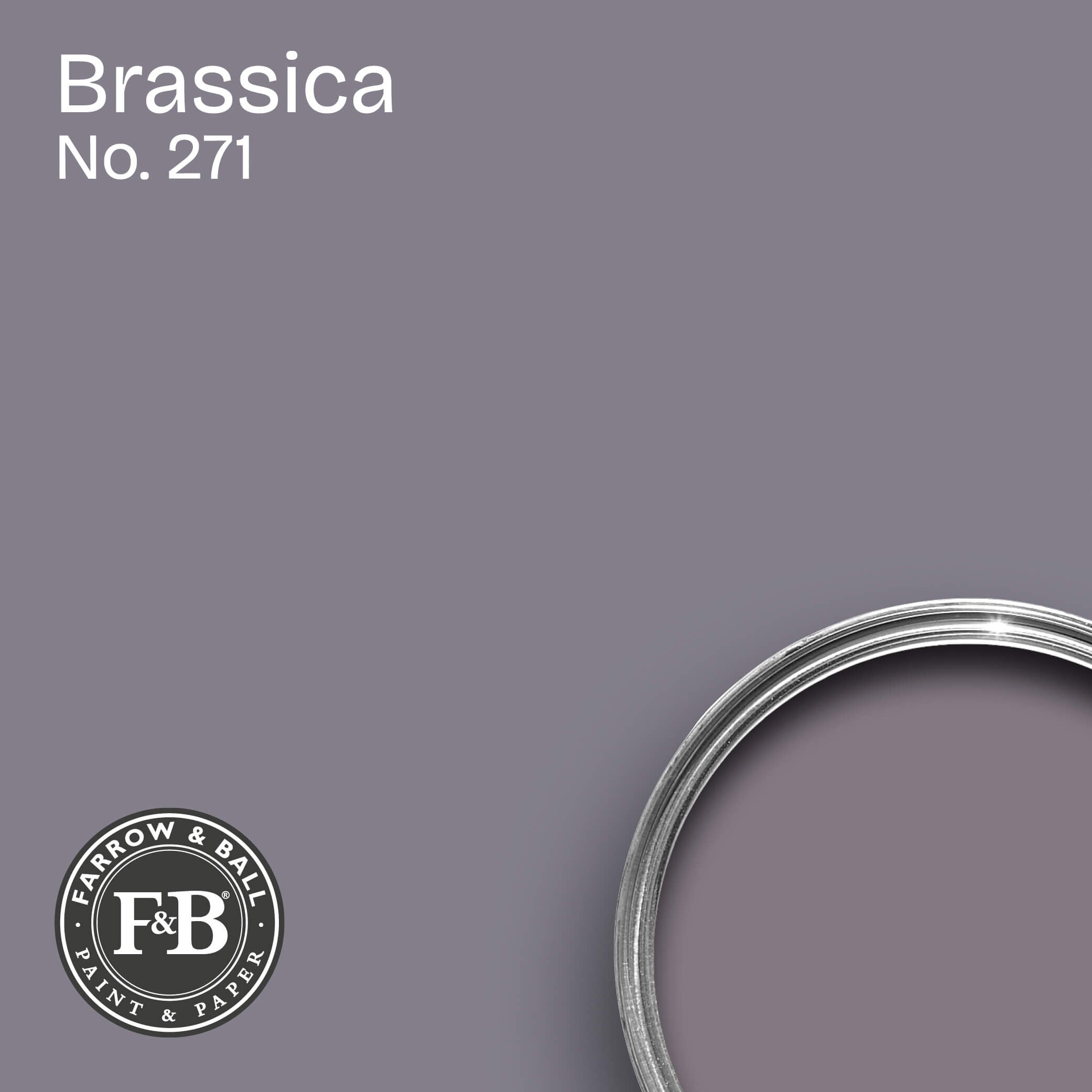 Farrow & Ball Brassica No. 271
