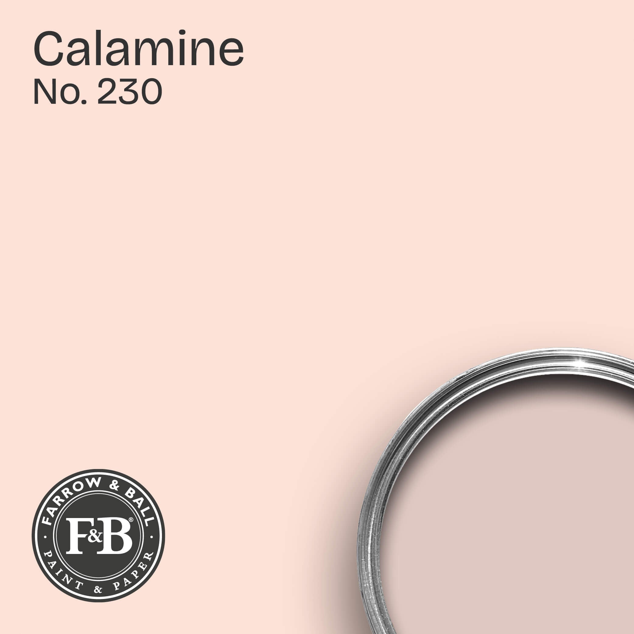 Farrow & Ball Wandfarbe Calamine No. 230