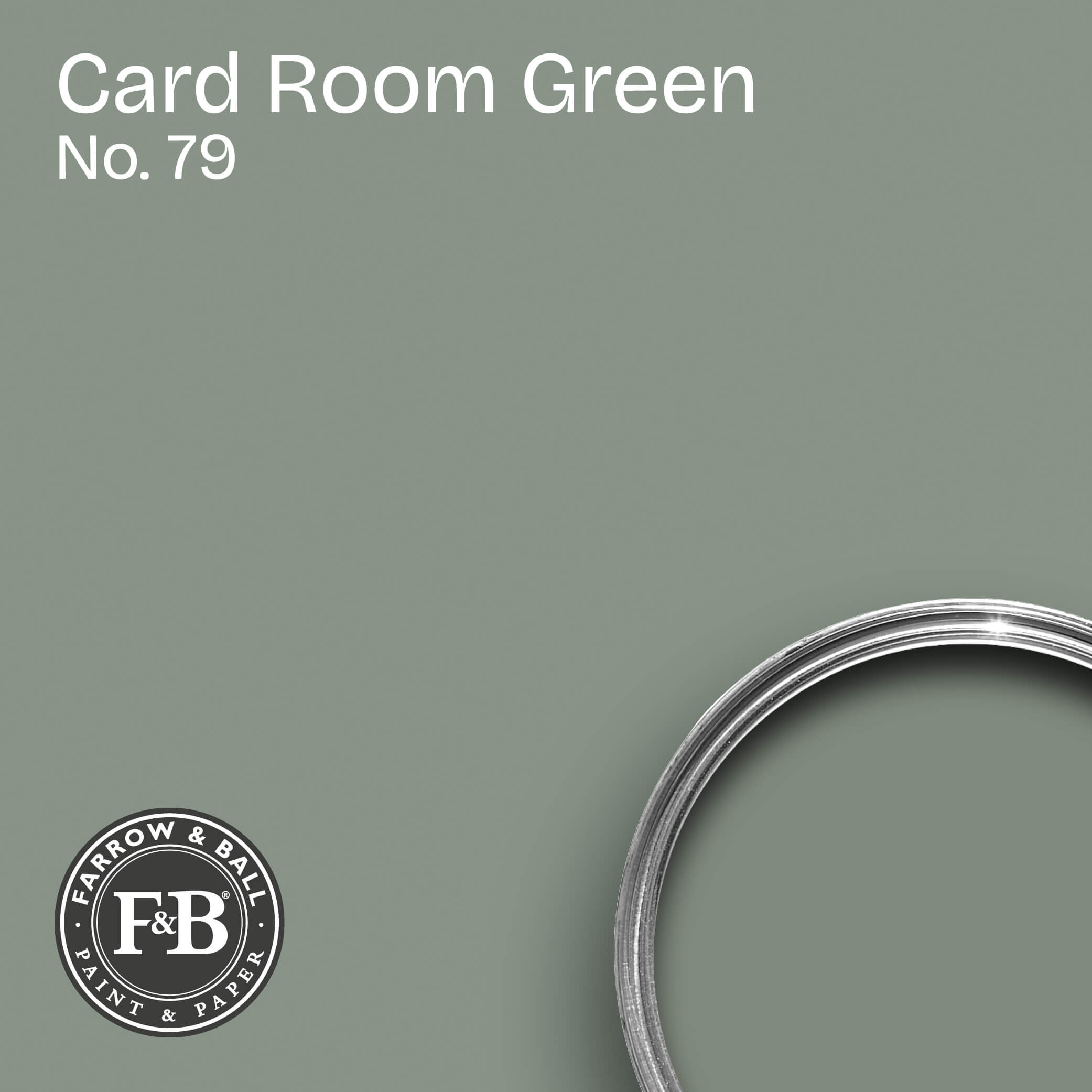 Farrow & Ball Wandfarbe Card Room Green No. 79