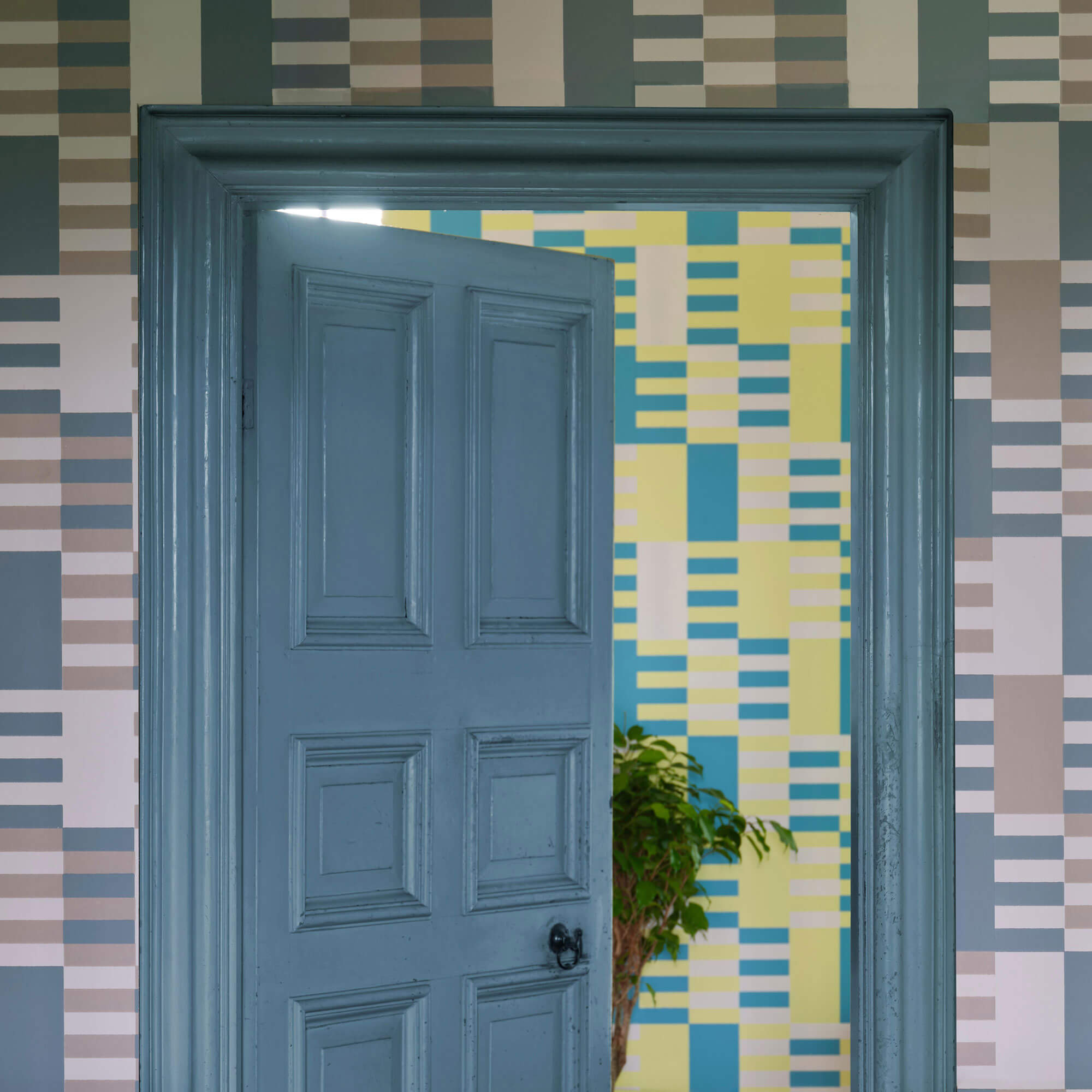 farrow & ball sardine cb8 auf einer holztüre und zarge