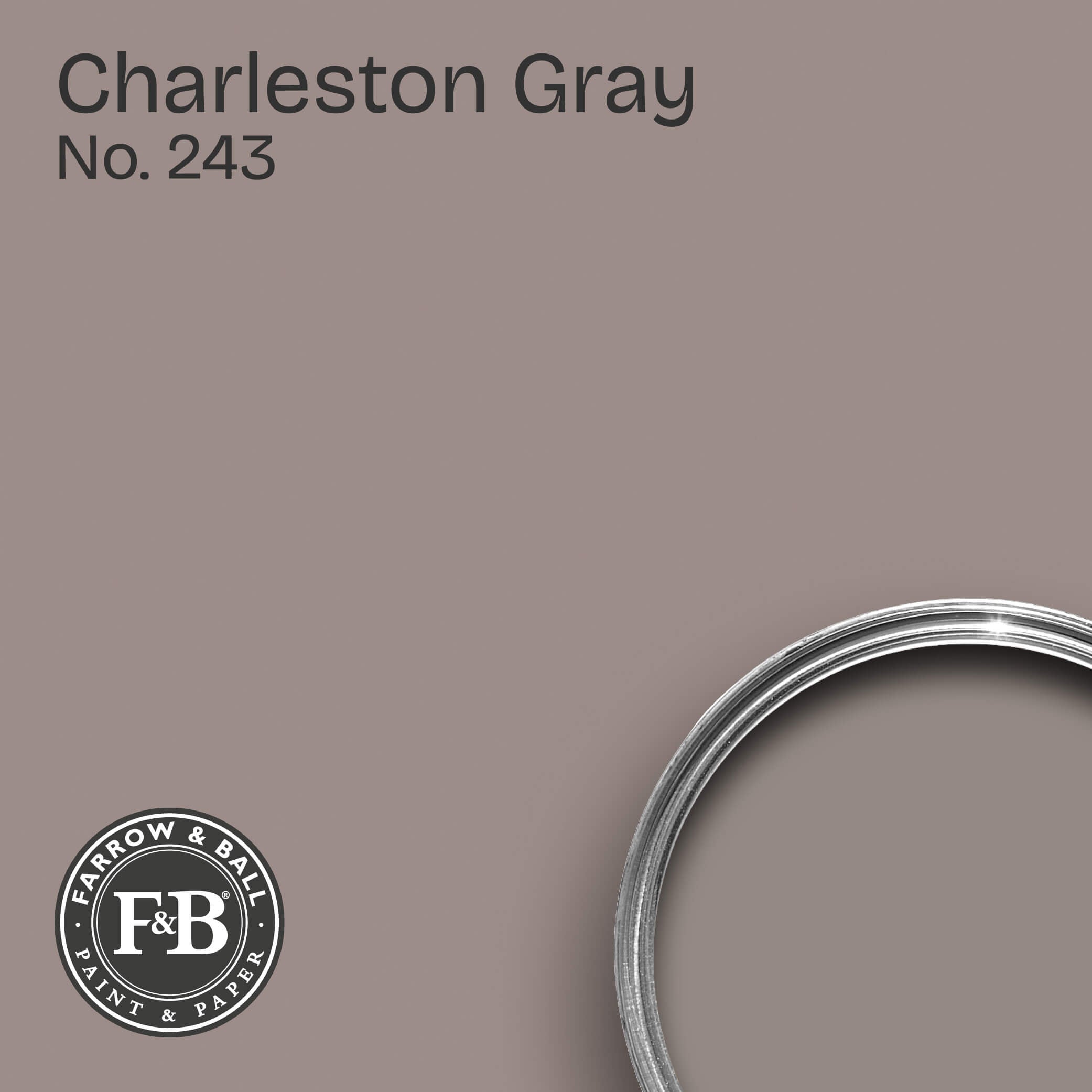 Farrow & Ball Wandfarbe Charleston Gray No. 243