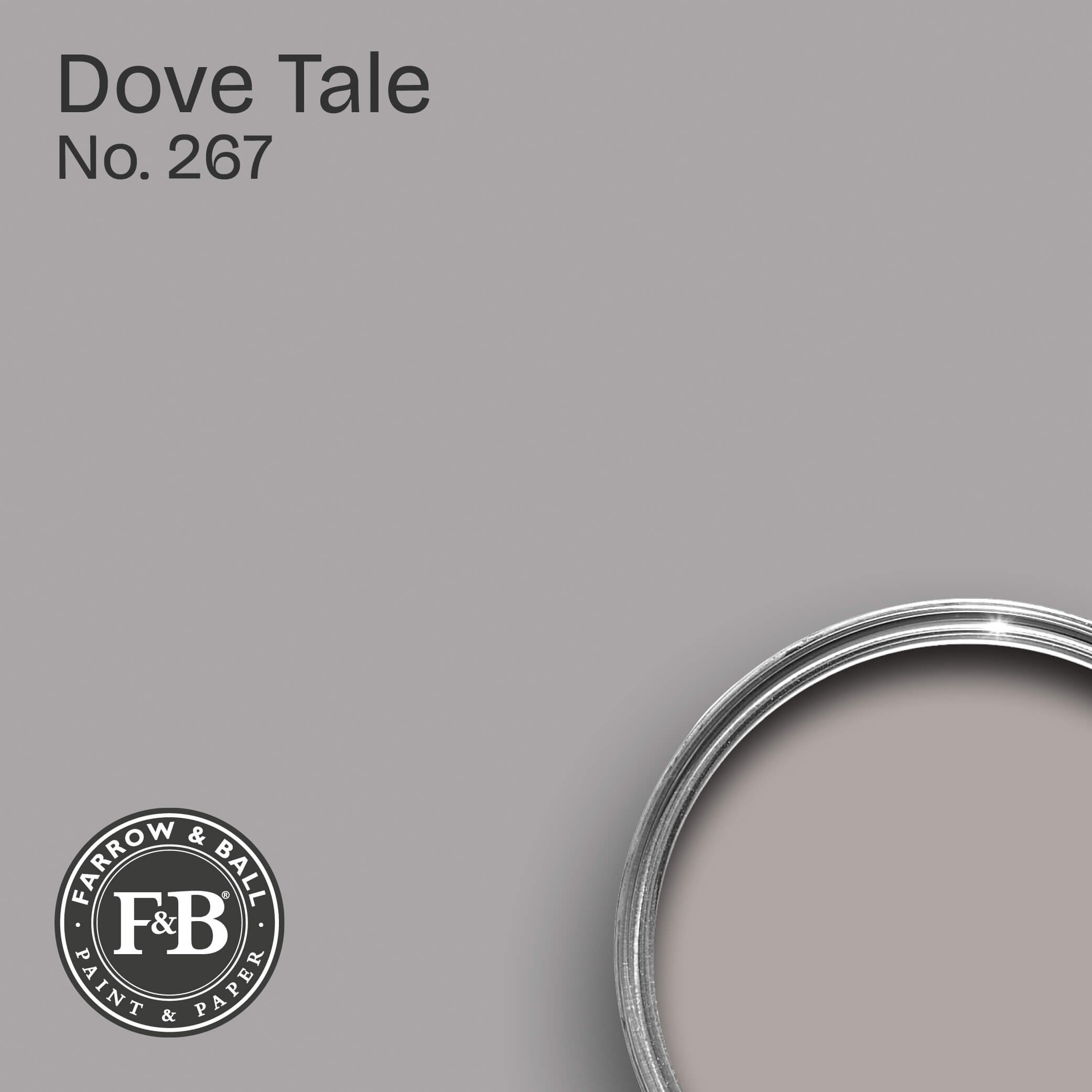 Farrow & Ball Wandfarbe Dove Tale No. 267