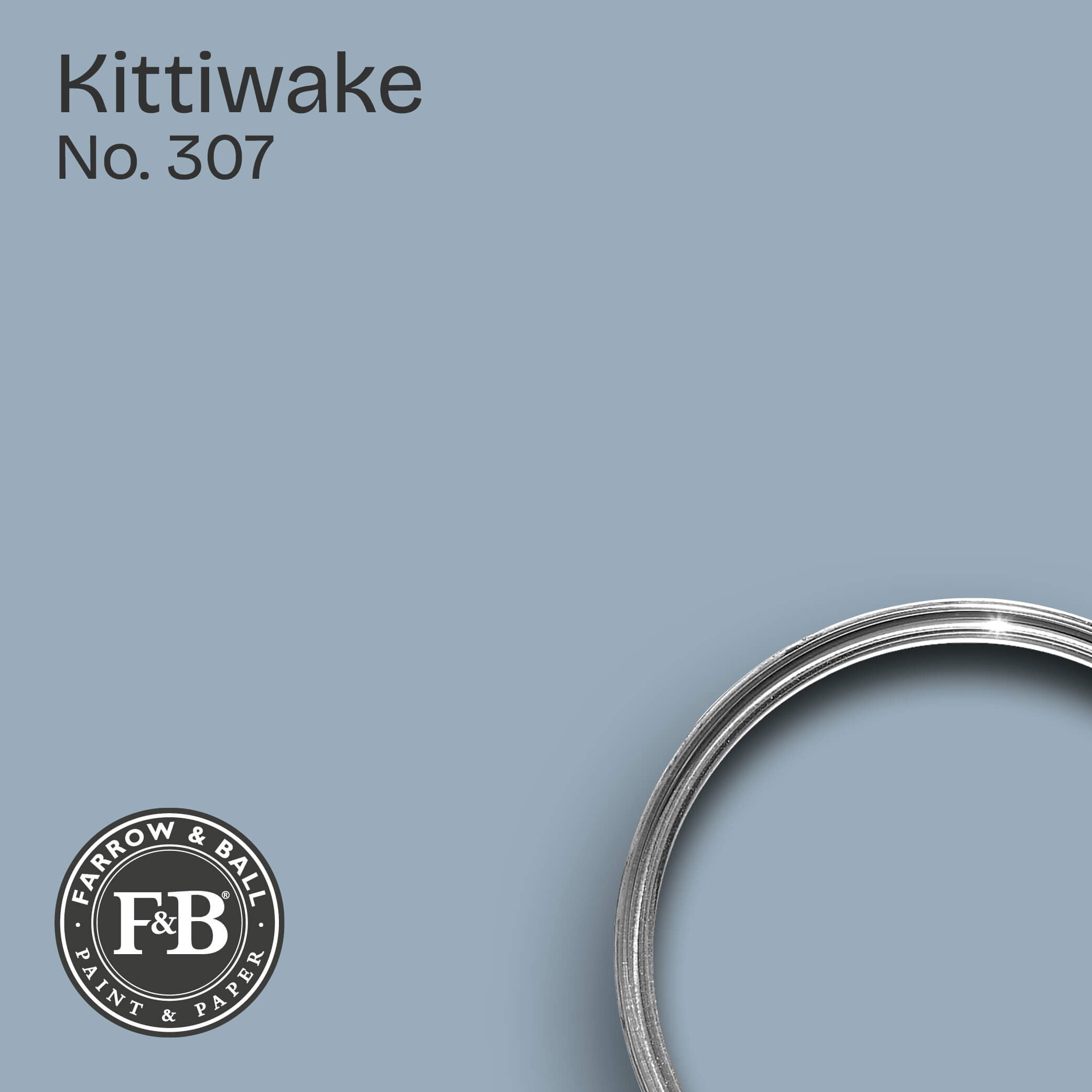 Farrow & Ball Kittiwake No. 307