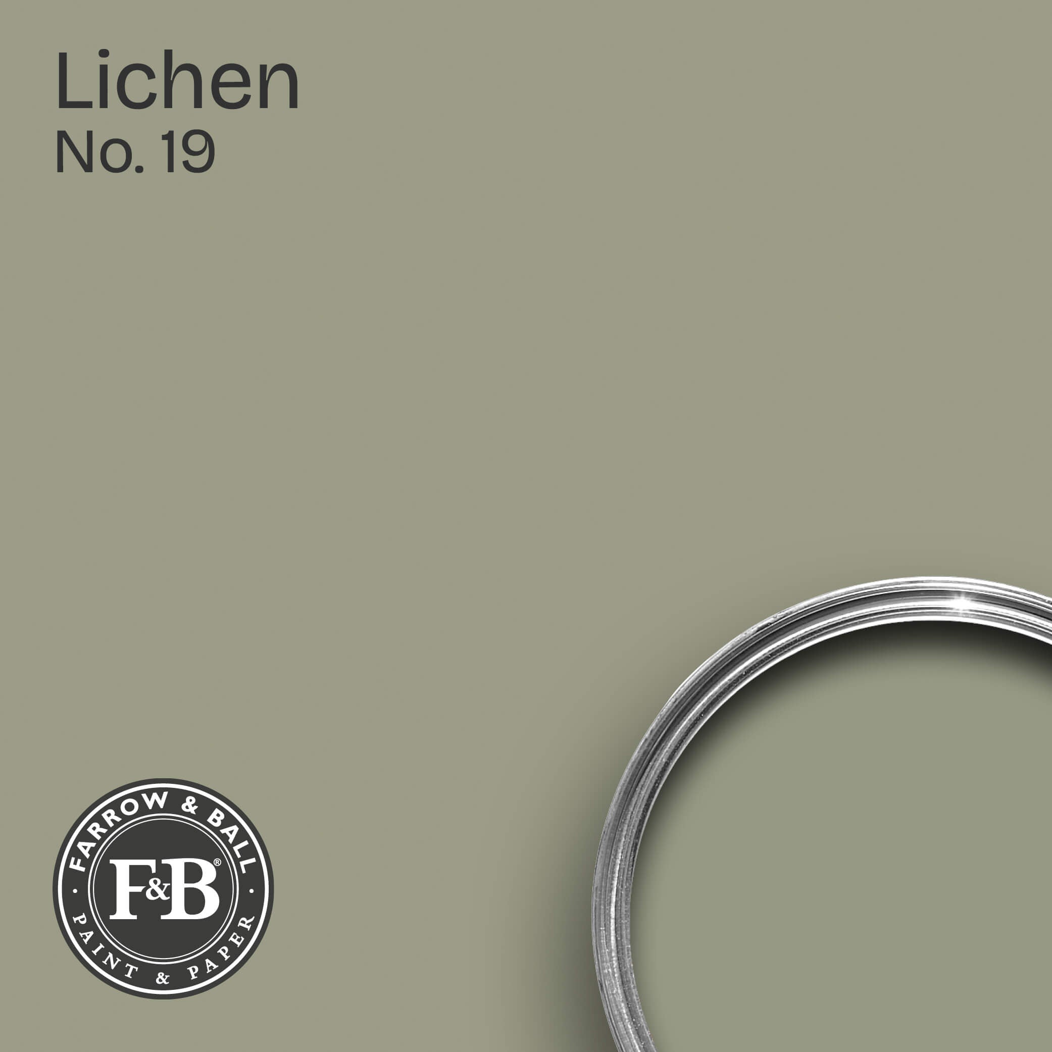 Farrow & Ball Lichen No. 19