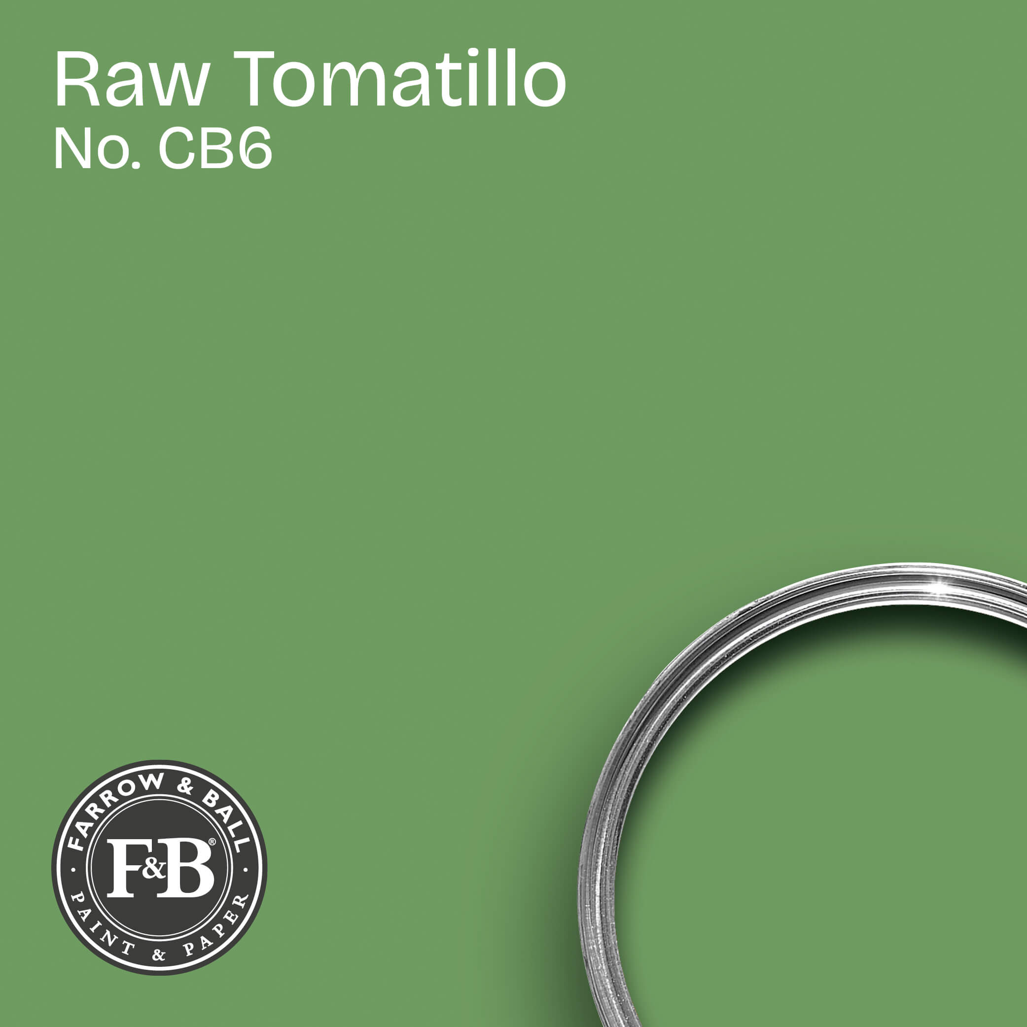 Farrow & Ball Raw Tomatillo No. CB6