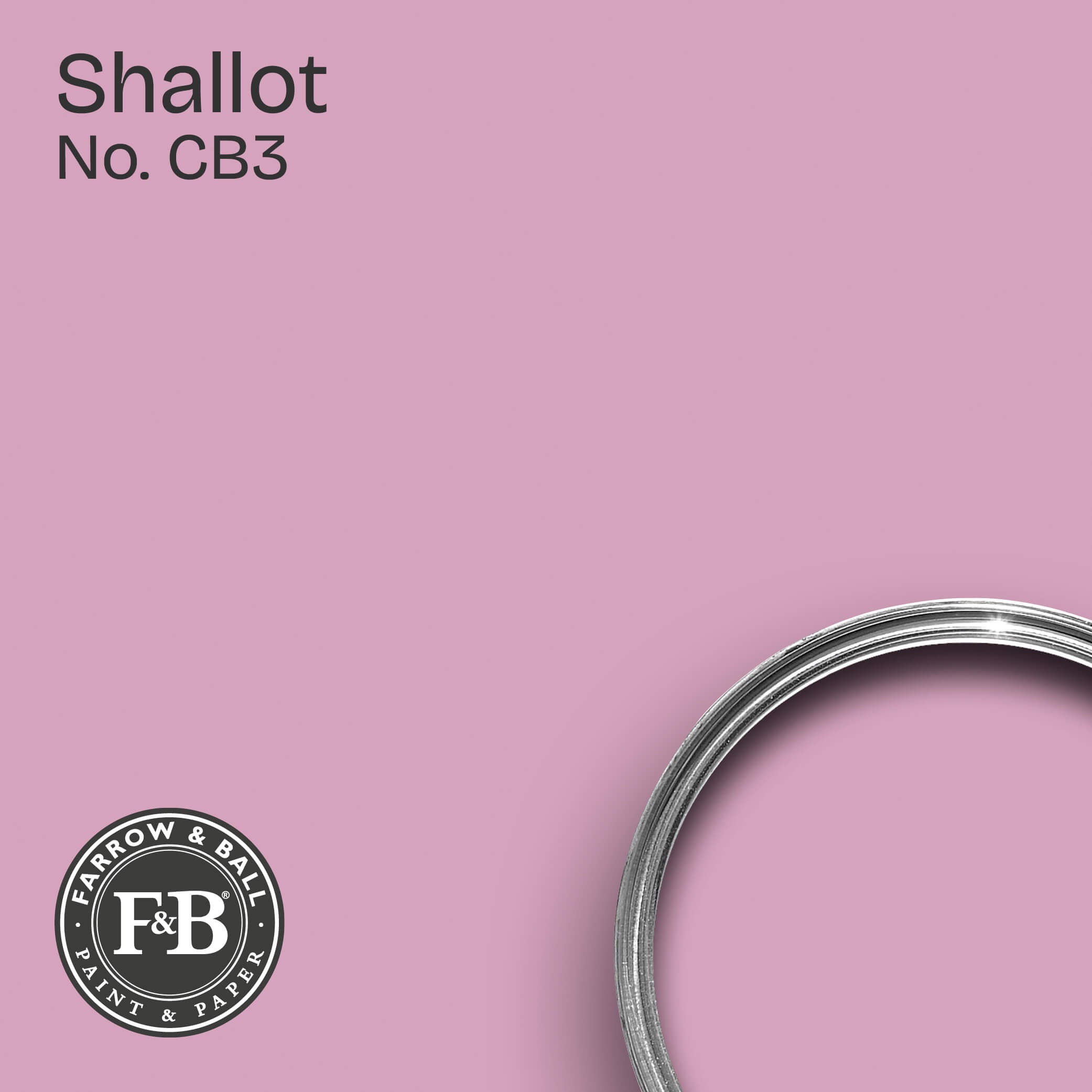 Farrow & Ball Shallot No. CB3