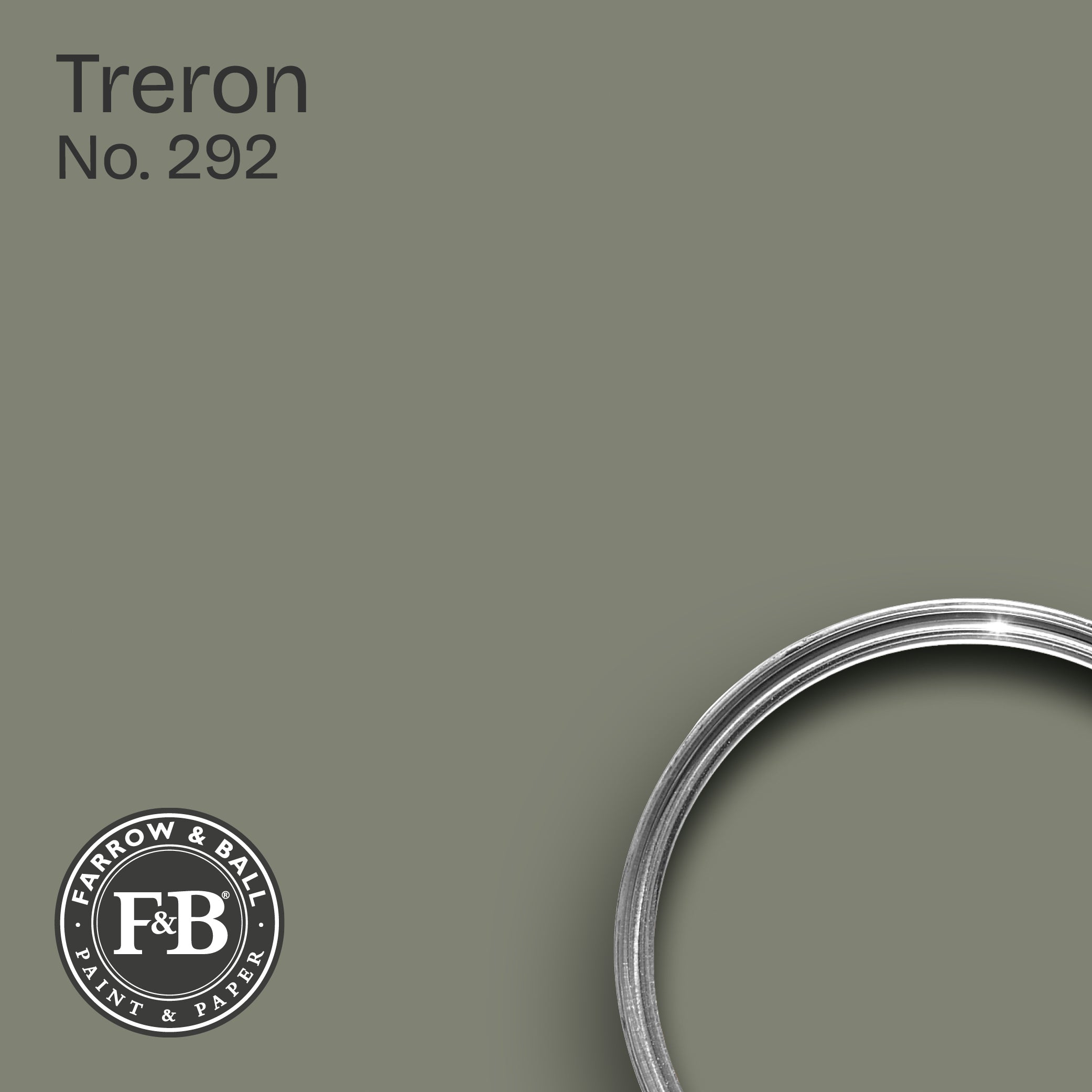 Farrow & Ball Wandfarbe Treron No. 292