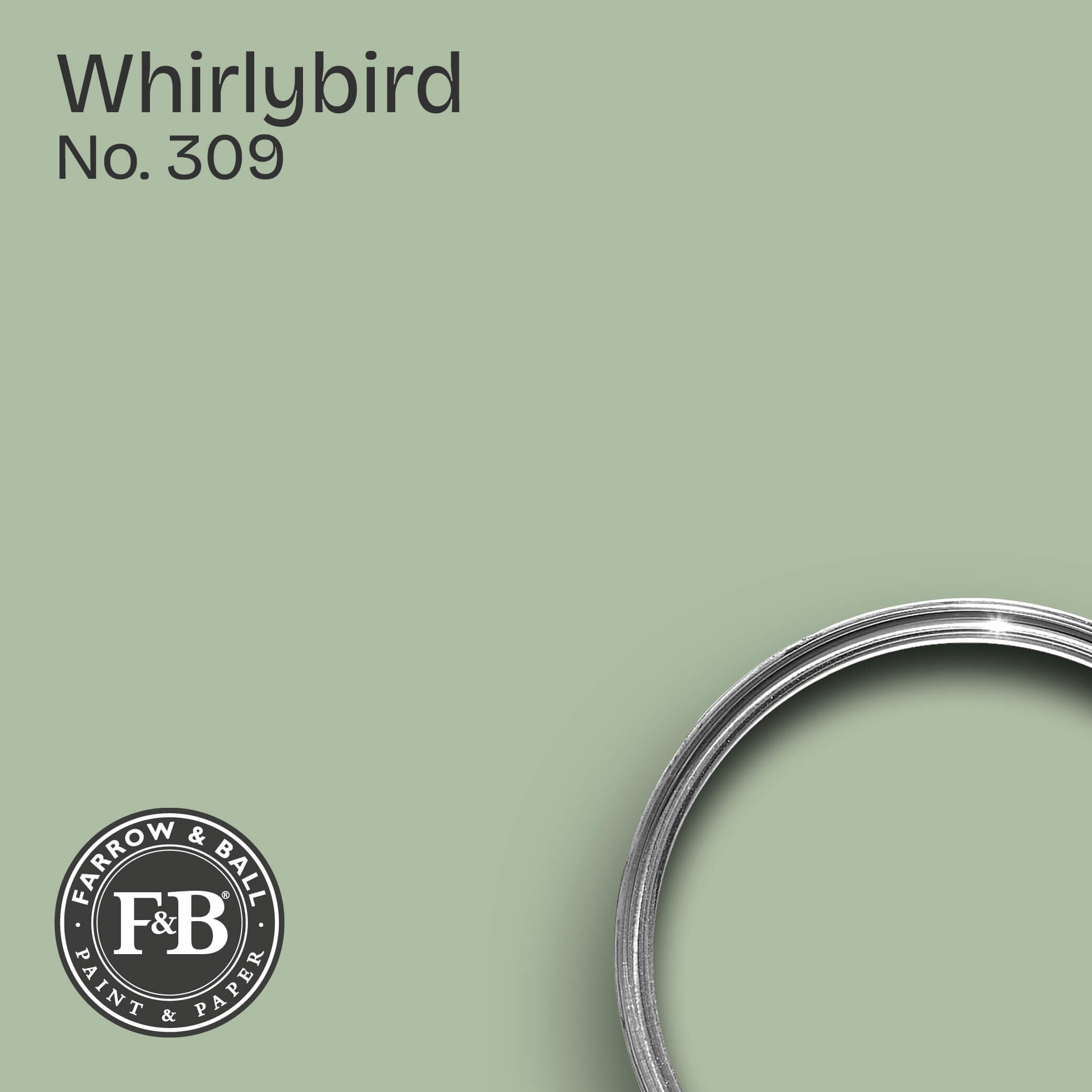 Farrow & Ball Wandfarbe Whirlybird No. 309