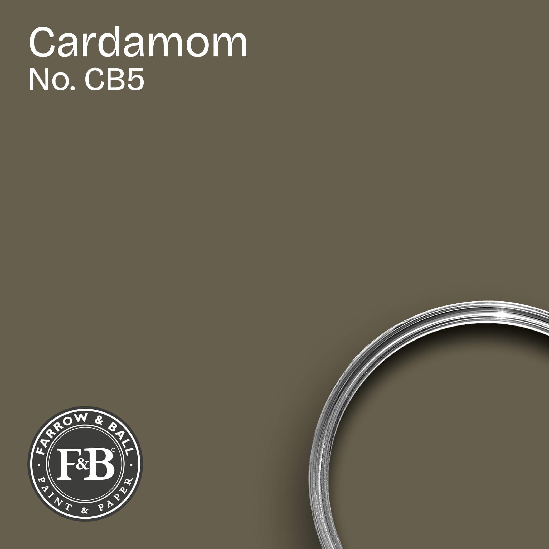Farrow & Ball Wandfarbe Cardamom No. CB5