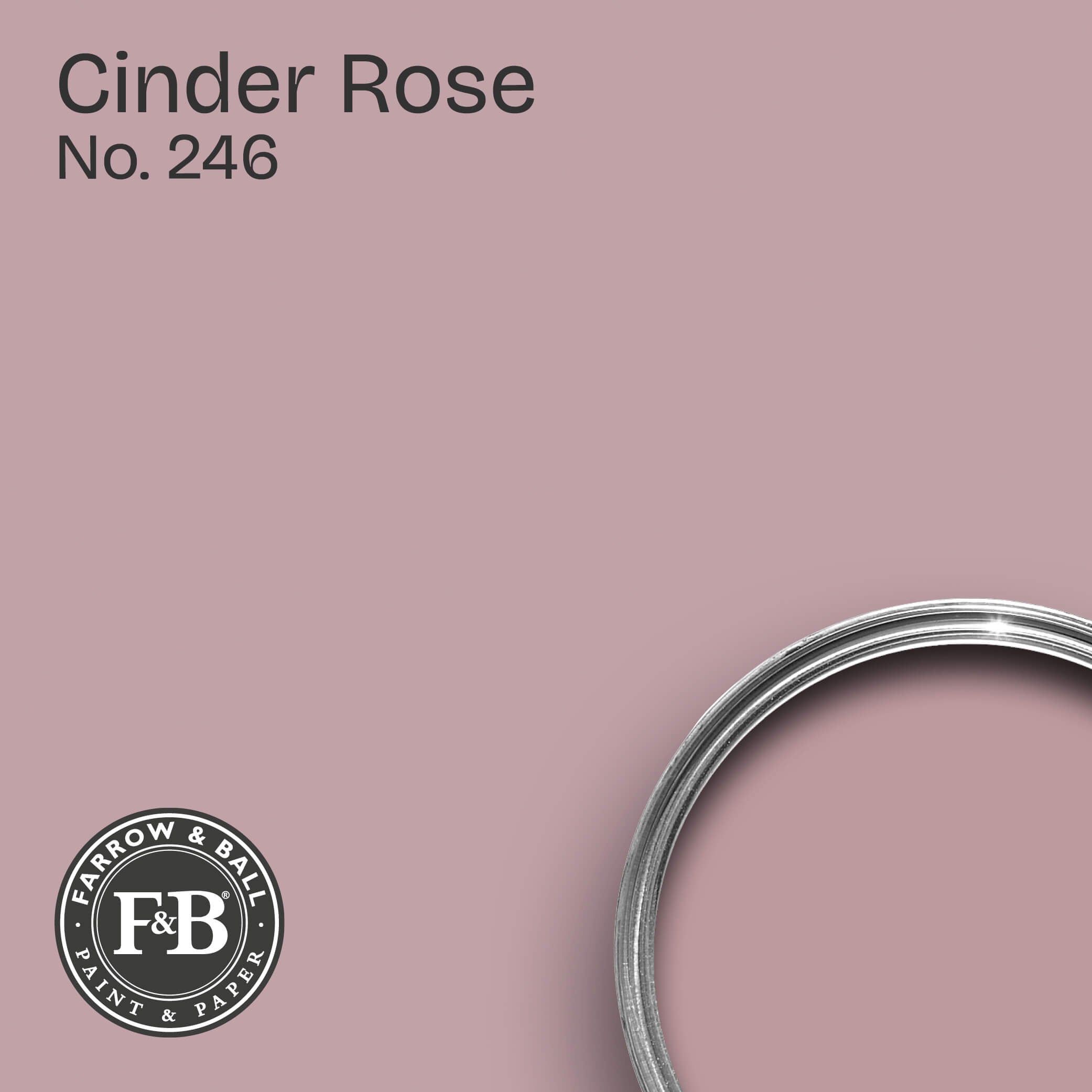 Farrow & Ball Wandfarbe Cinder Rose No. 246