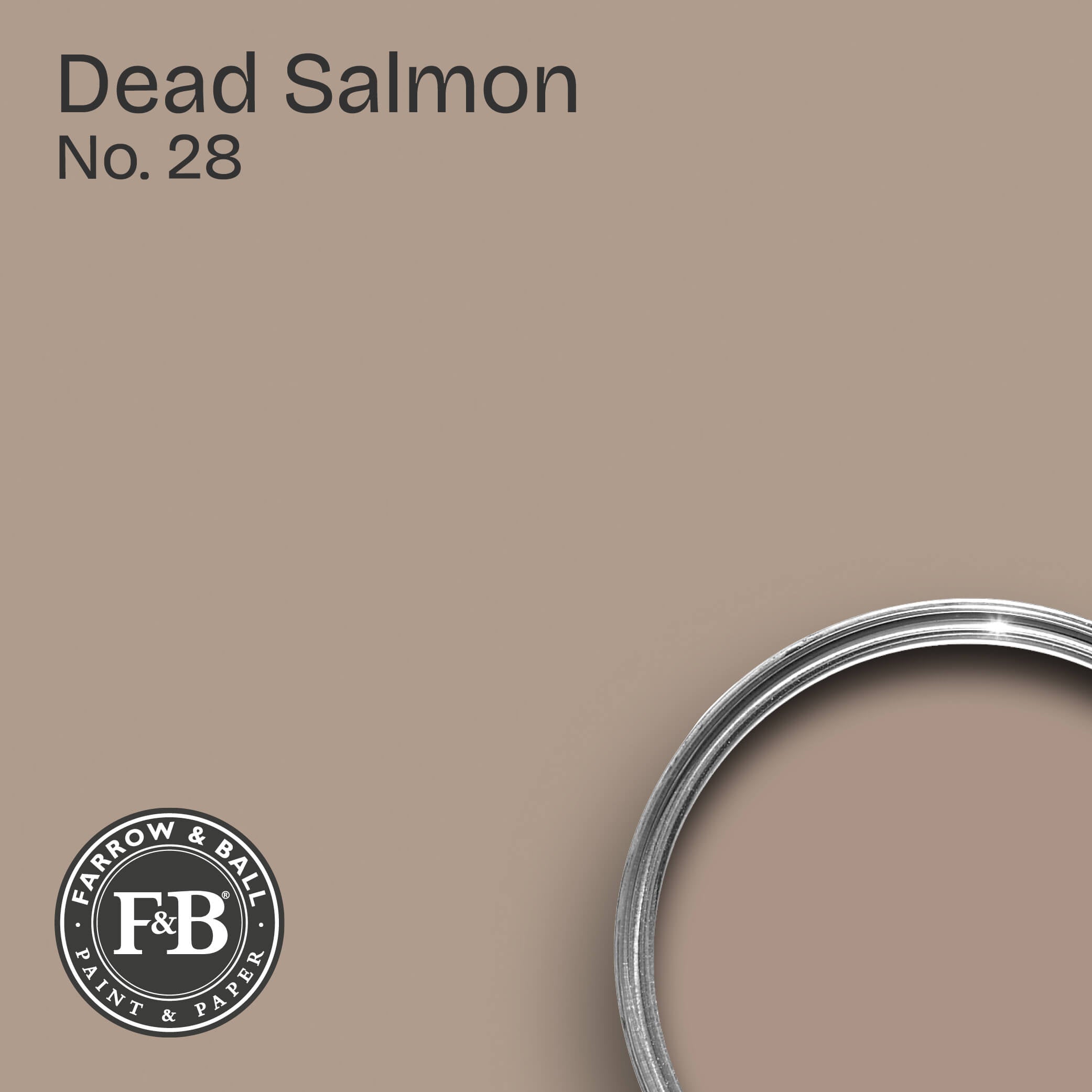 Farrow & Ball Wandfarbe Dead Salmon No. 28