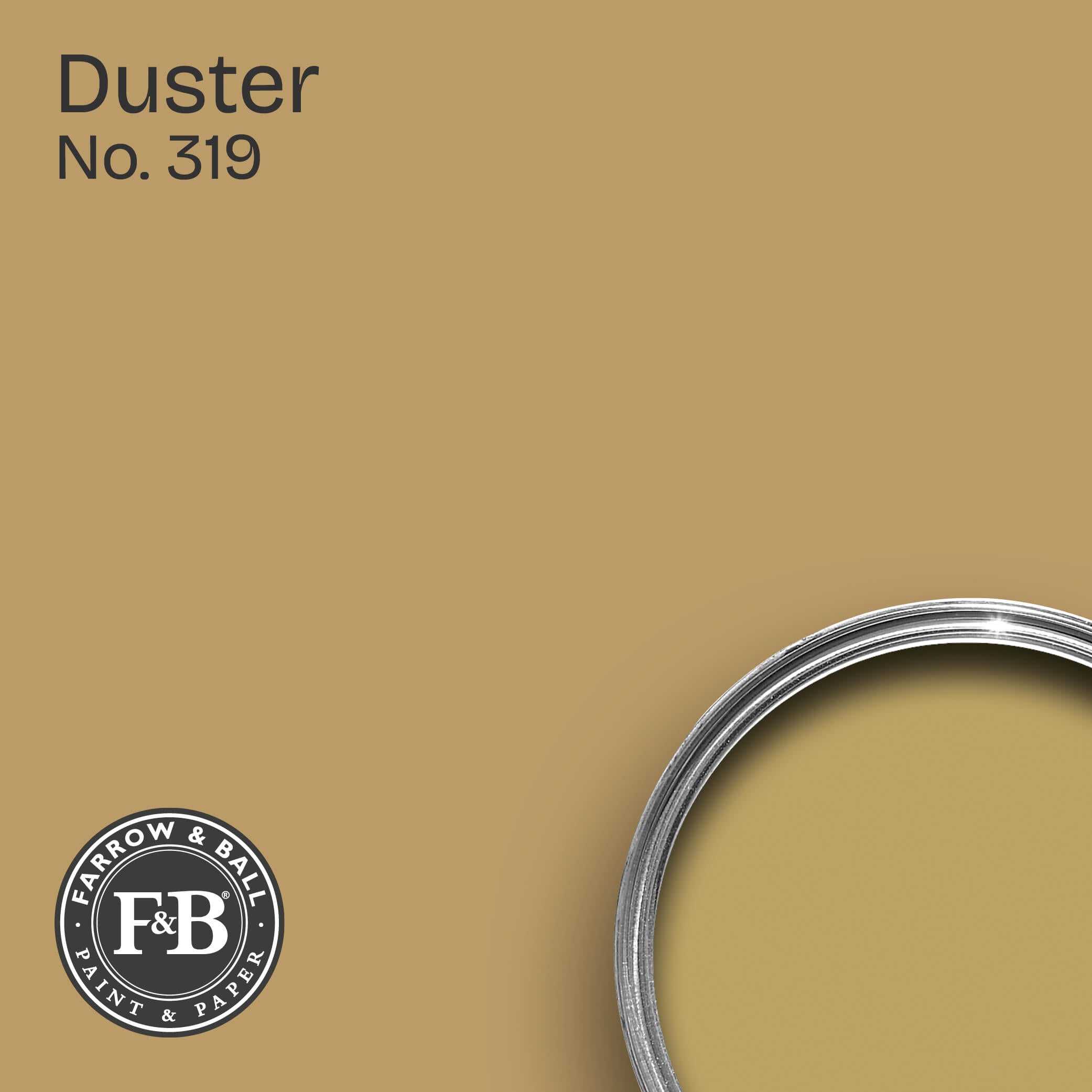 Farrow & Ball Wandfarbe Duster No. 319
