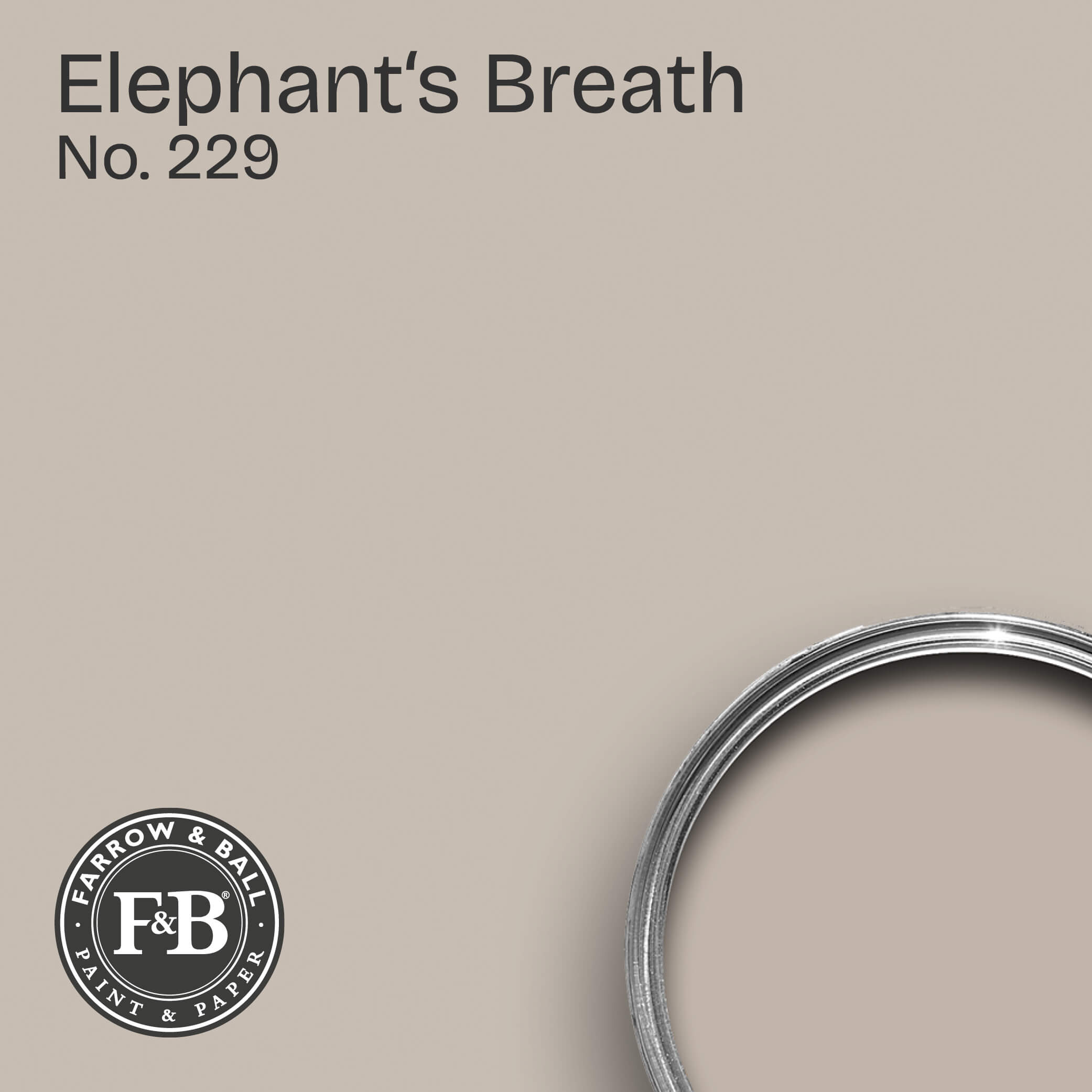 Farrow & Ball Wandfarbe Elephant´s Breath No. 229