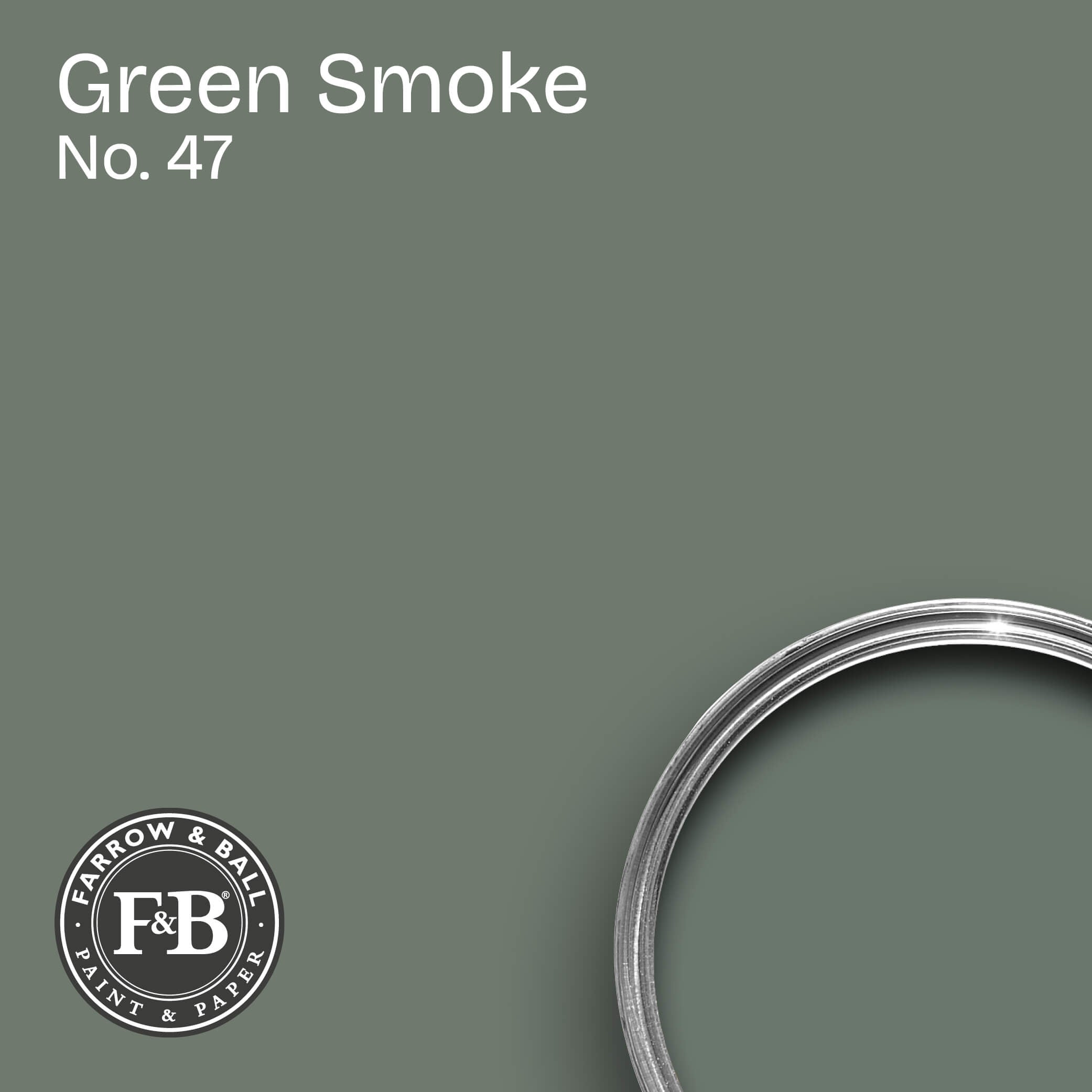 Farrow & Ball Wandfarbe Green Smoke No. 47