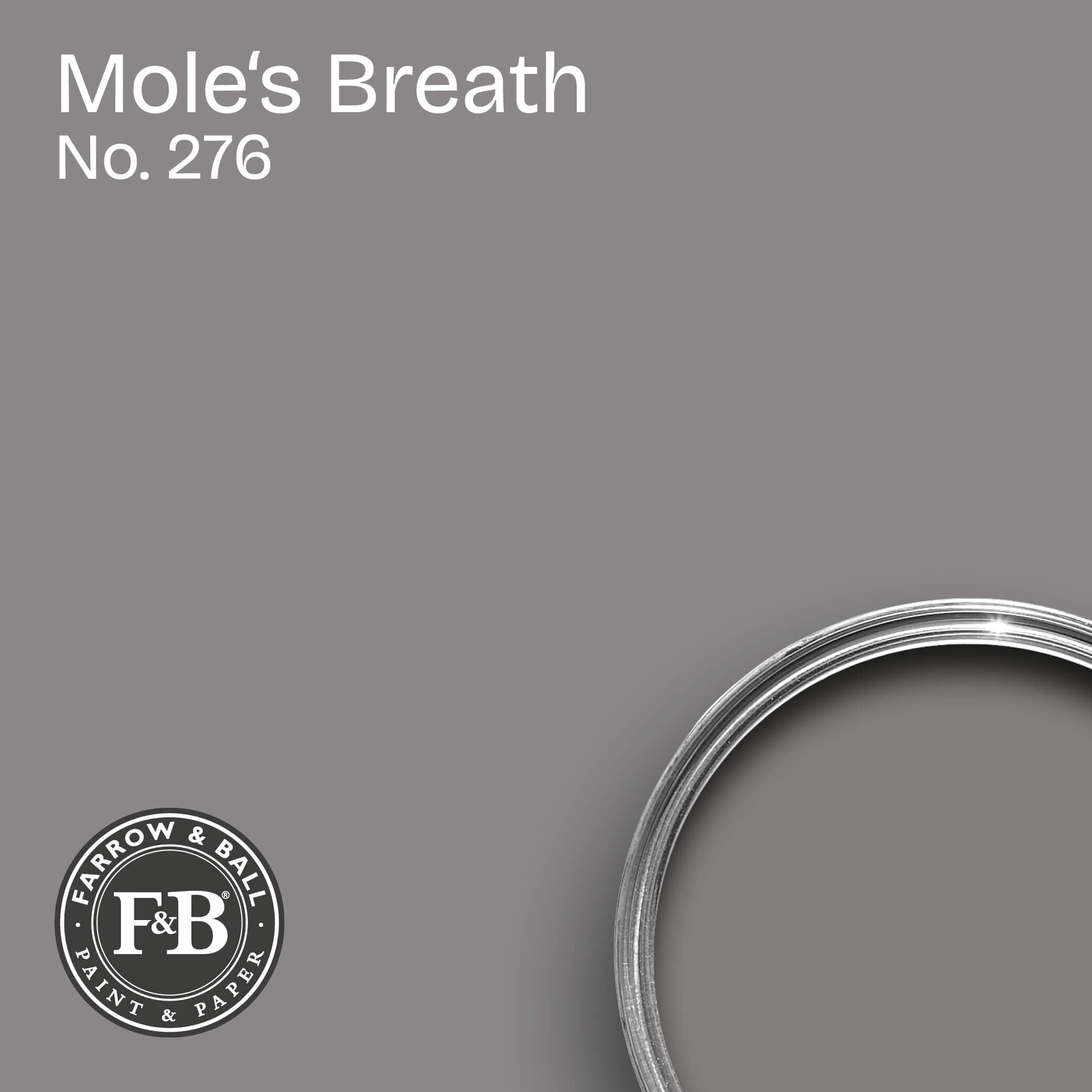 Farrow & Ball Wandfarbe Mole´s Breath No. 276