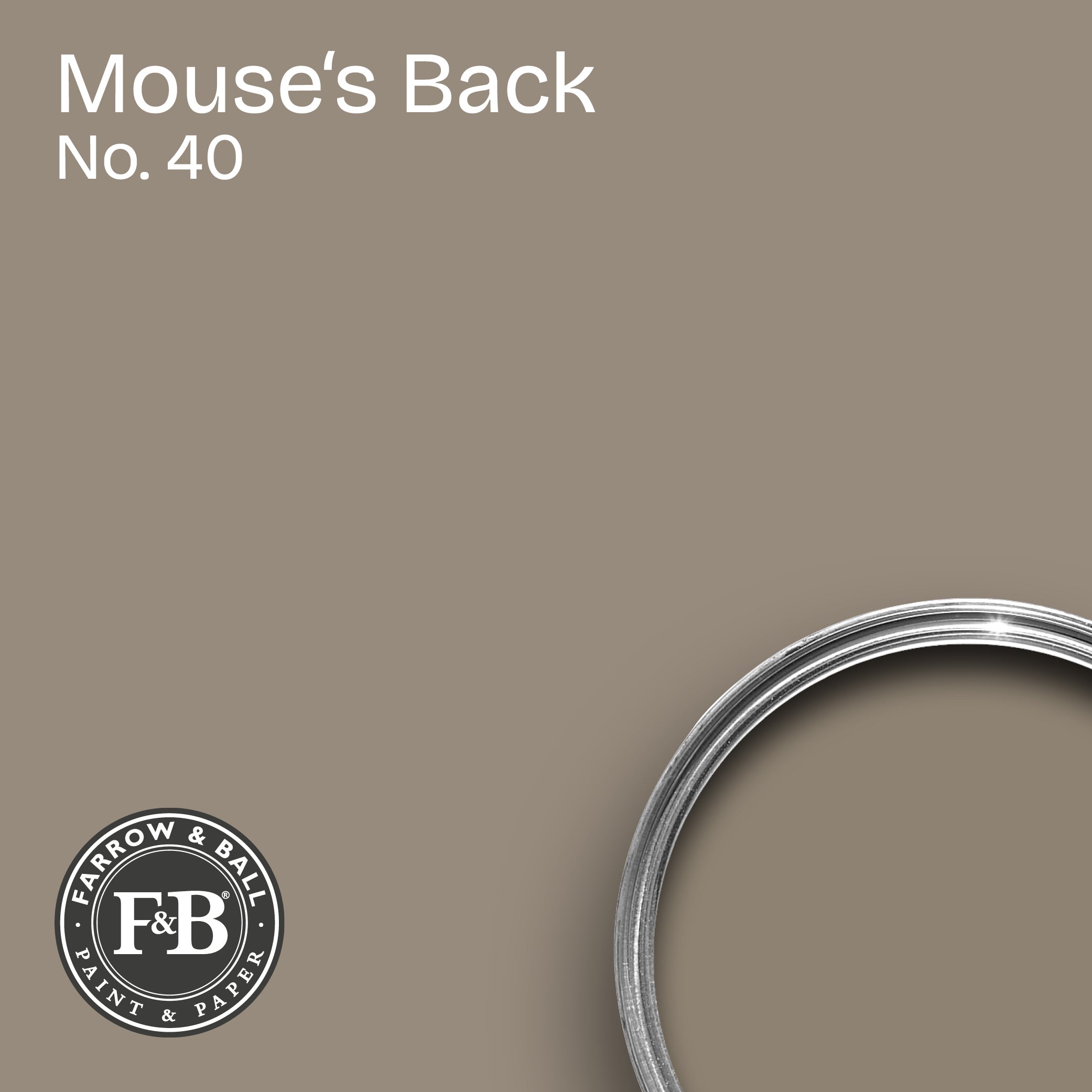 Farrow & Ball Wandfarbe Mouse´s Back No. 40