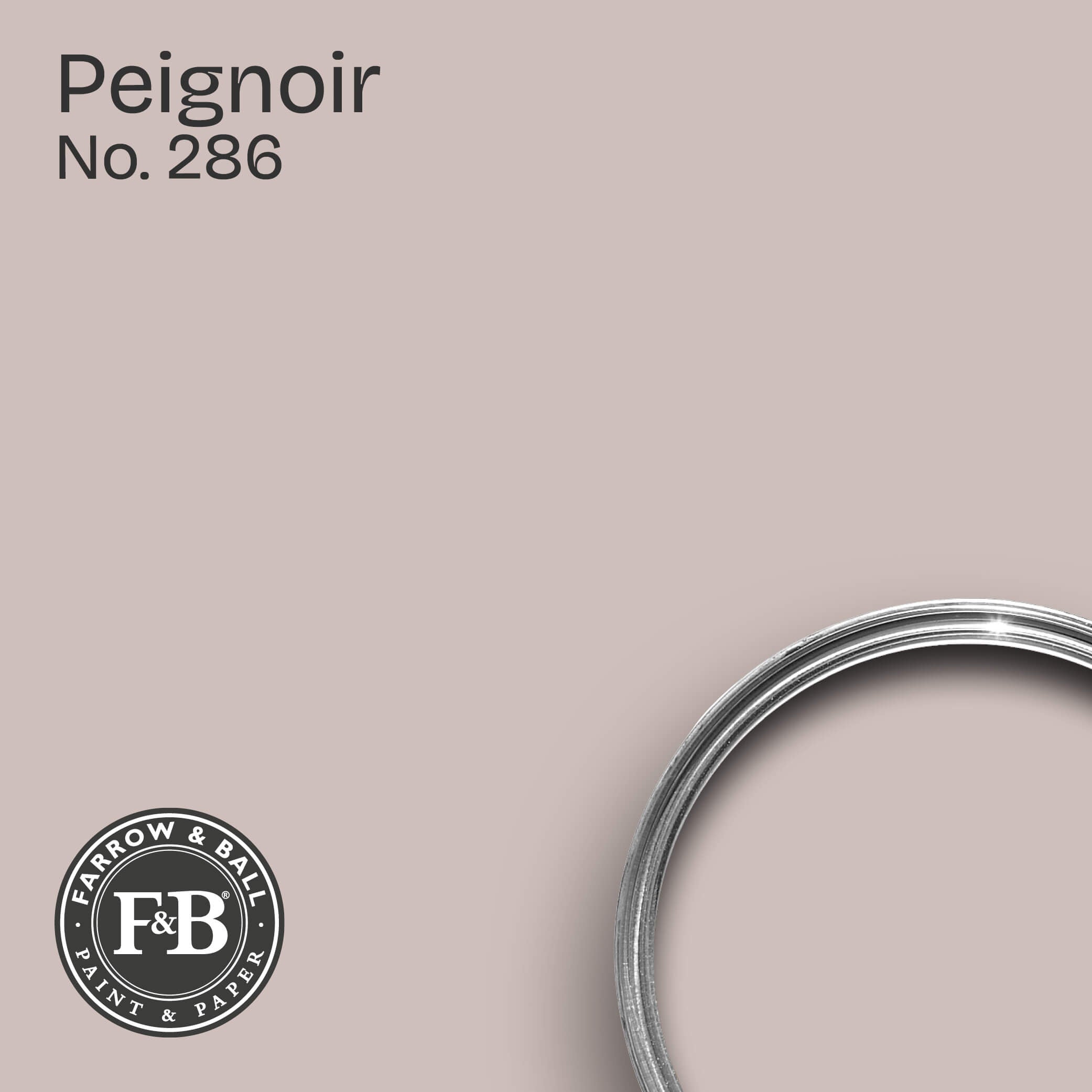 Farrow & Ball Wandfarbe Peignoir No. 286