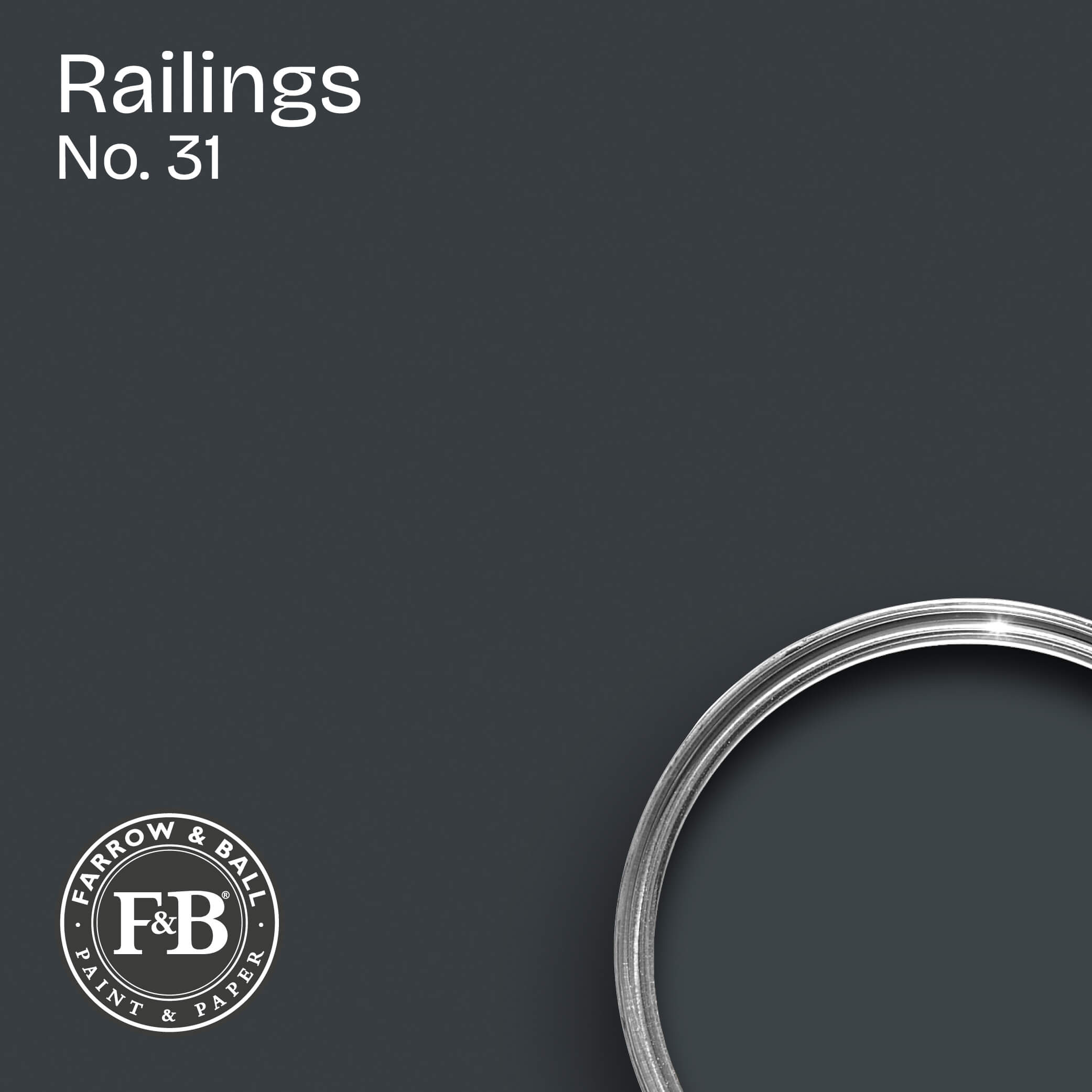 Farrow & Ball Wandfarbe Railings No. 31