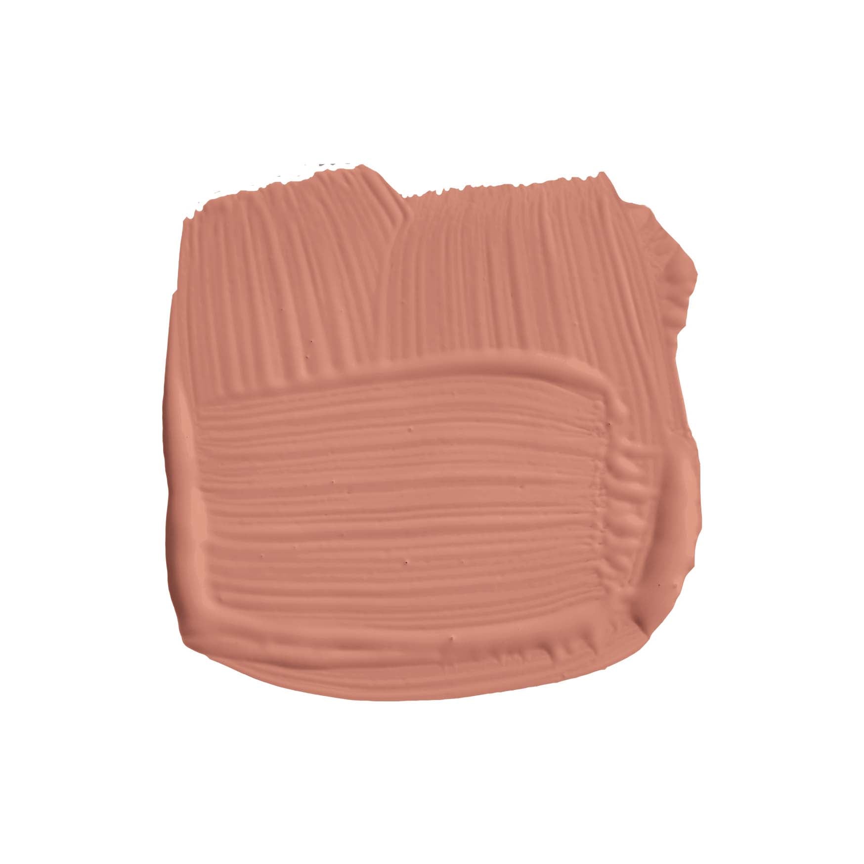 Pinselstrich der Wandfarbe Red Earth No. 64 von Farrow & Ball