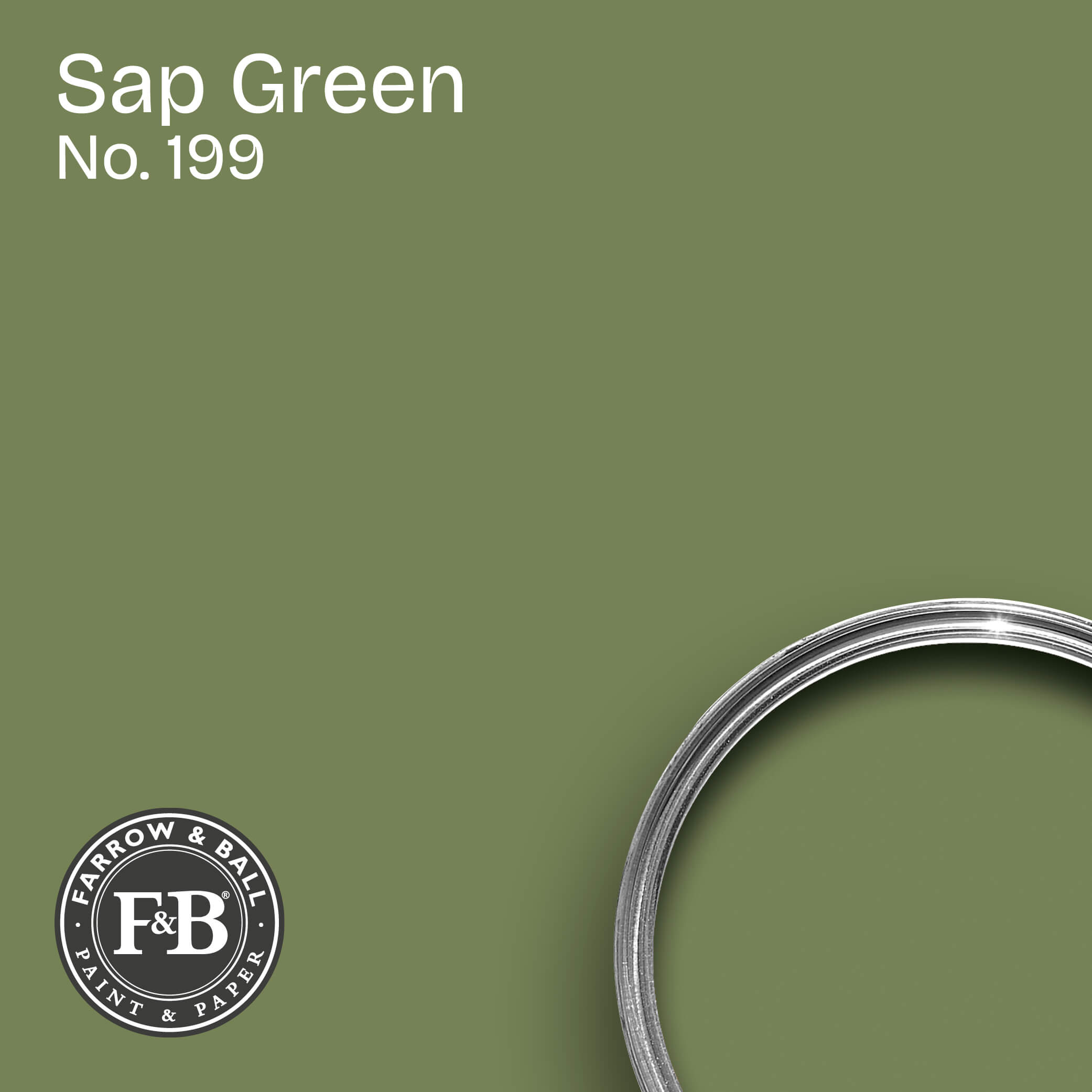 Farrow & Ball Wandfarbe Sap Green No. 199