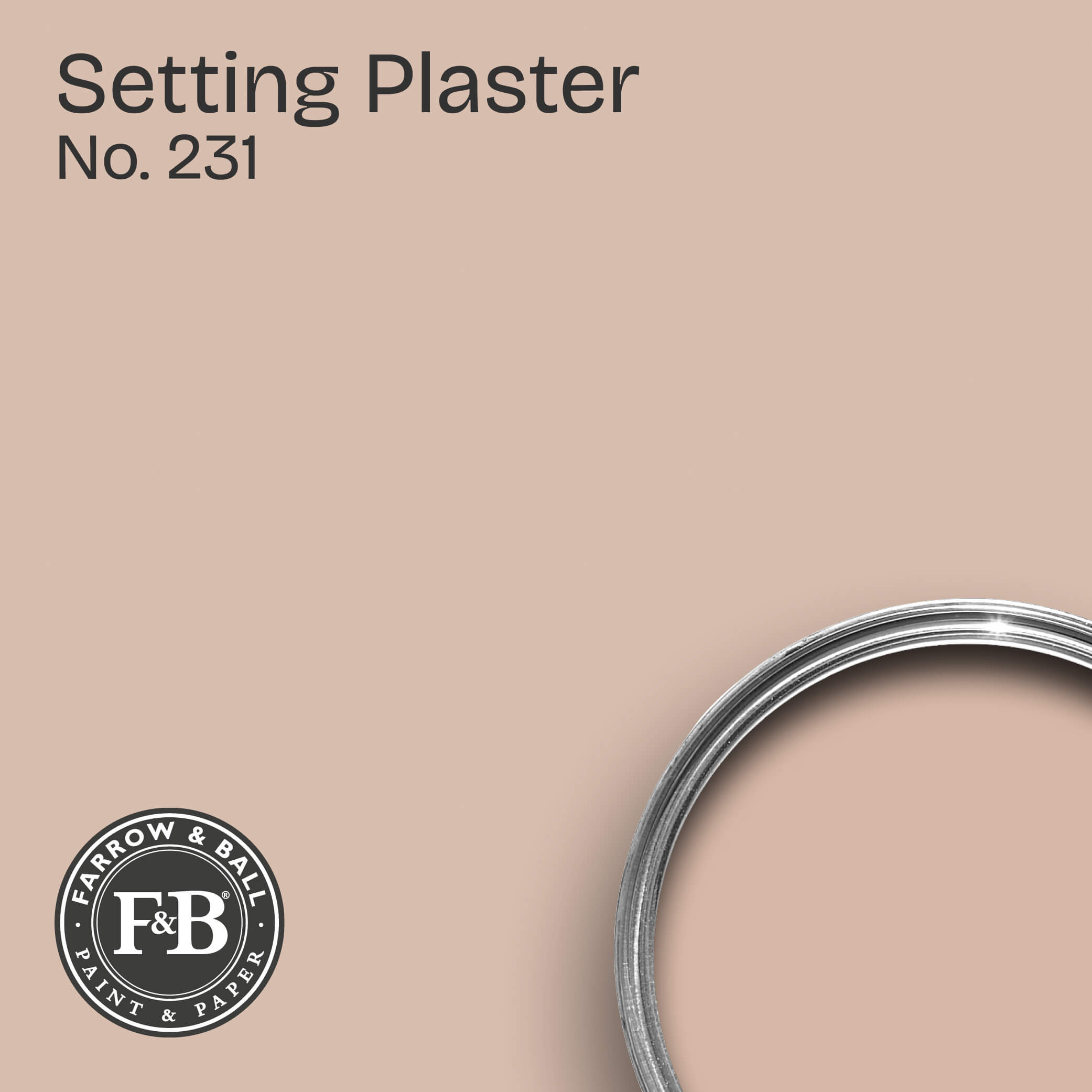 Farrow & Ball Wandfarbe Setting Plaster No. 231