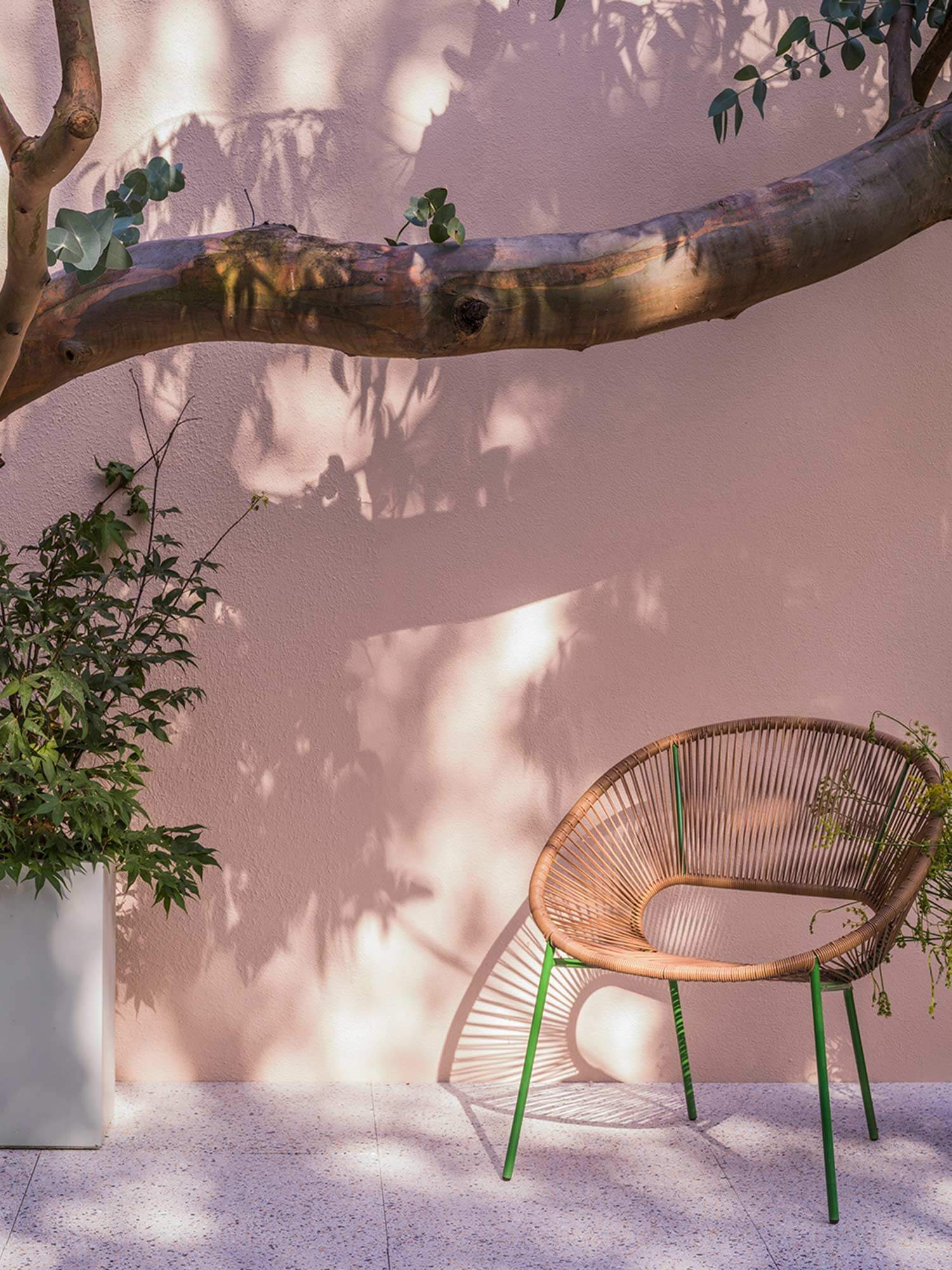 Terrasse mit Setting Plaster No. 231 von Farrow und Ball an der Außenwand. Warmes Rosa auf verputzter Wand mit Rattanstuhl und Pflanzenschatten.