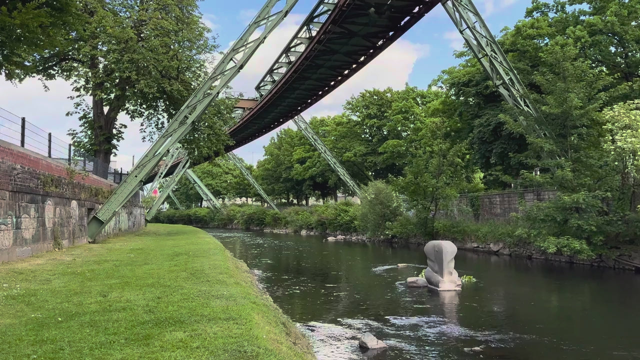 Video laden: Die Schwebebahn in Wuppertal fährt über die Wupper am Denkmal für Tuffi vorbei.