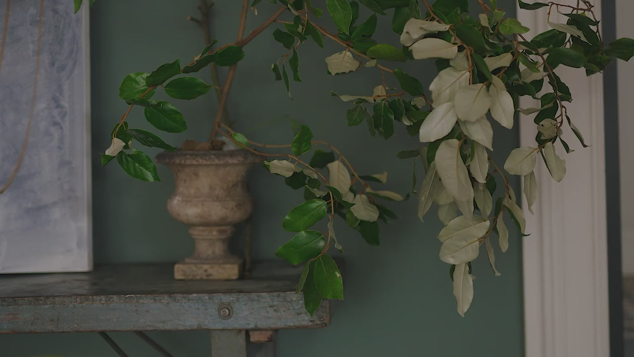 Video laden: Carte Blanche – Die Kollektion von Farrow &amp; Ball  und Christopher John Rogers aus dem Jahre 2023